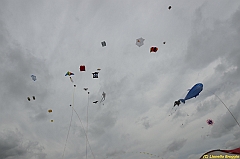 Venice kite festival_0330